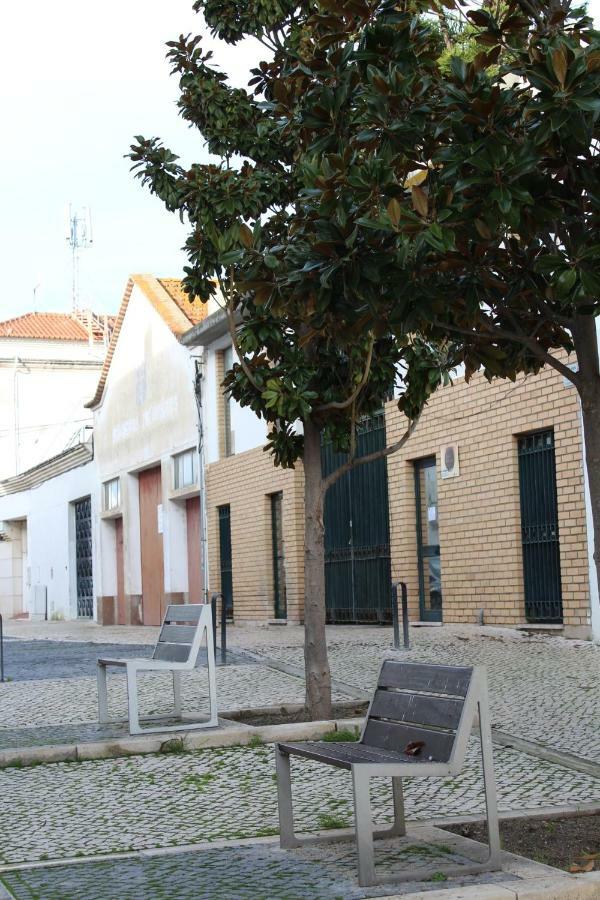 Casa Do Tejo De Alcocheteヴィラ エクステリア 写真